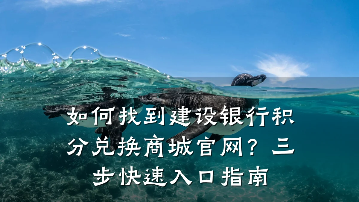 如何找到建设银行积分兑换商城官网?三步快速入口指南