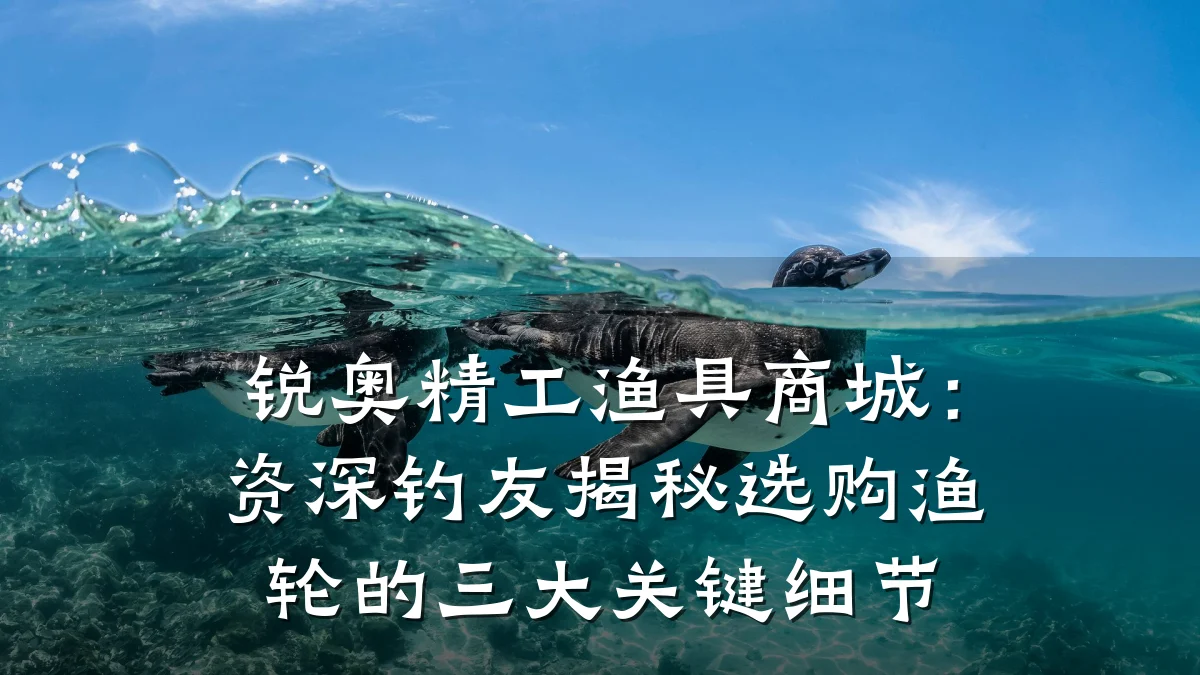 锐奥精工渔具商城:资深钓友揭秘选购渔轮的三大关键细节