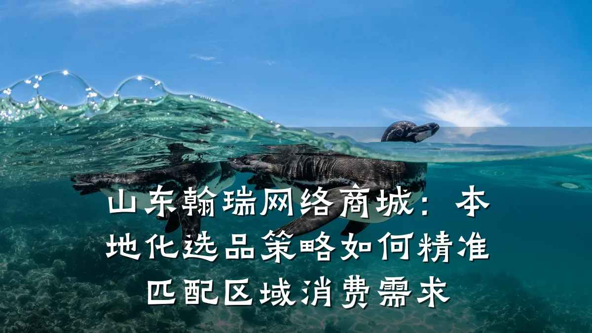 山东翰瑞网络商城:本地化选品策略如何精准匹配区域消费需求