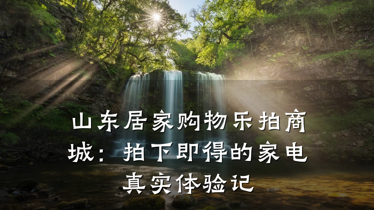 山东居家购物乐拍商城:拍下即得的家电真实体验记