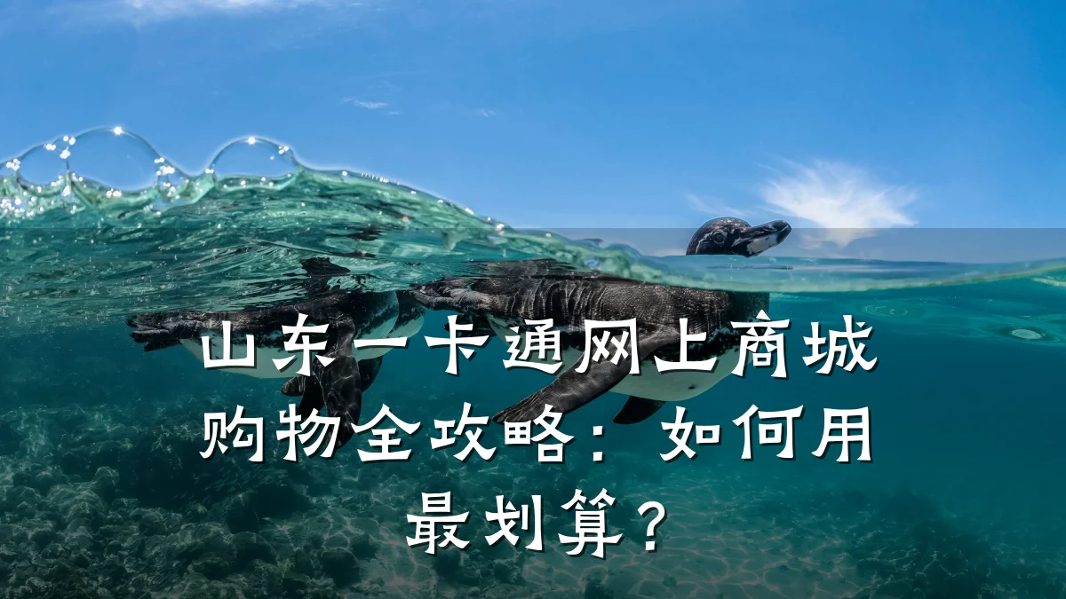山东一卡通网上商城购物全攻略:如何用最划算?