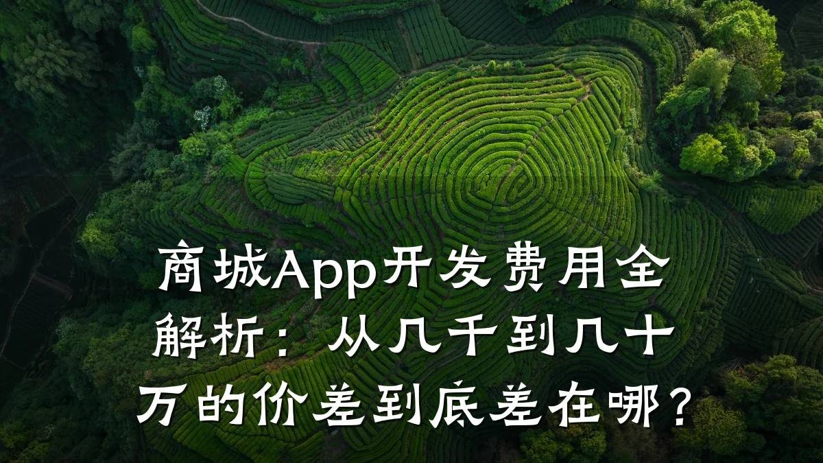 商城App开发费用全解析:从几千到几十万的价差到底差在哪?