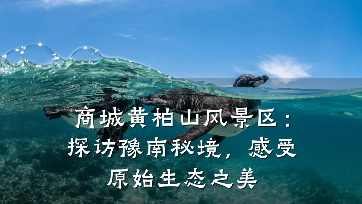 商城黄柏山风景区:探访豫南秘境,感受原始生态之美