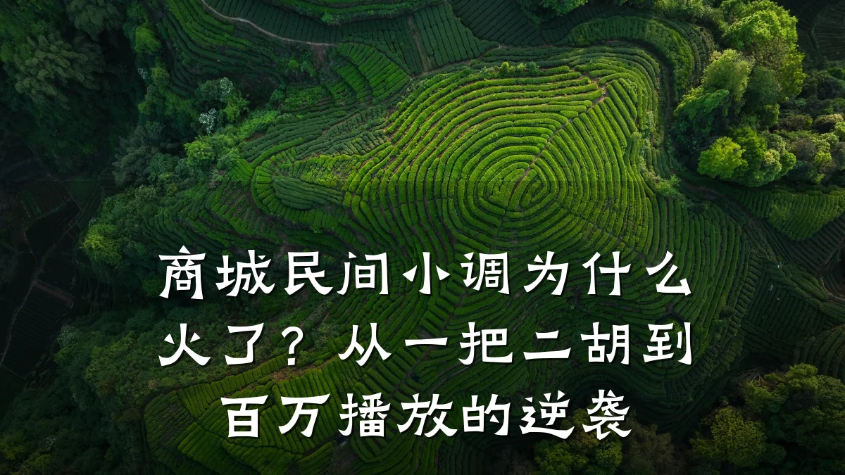 商城民间小调为什么火了?从一把二胡到百万播放的逆袭