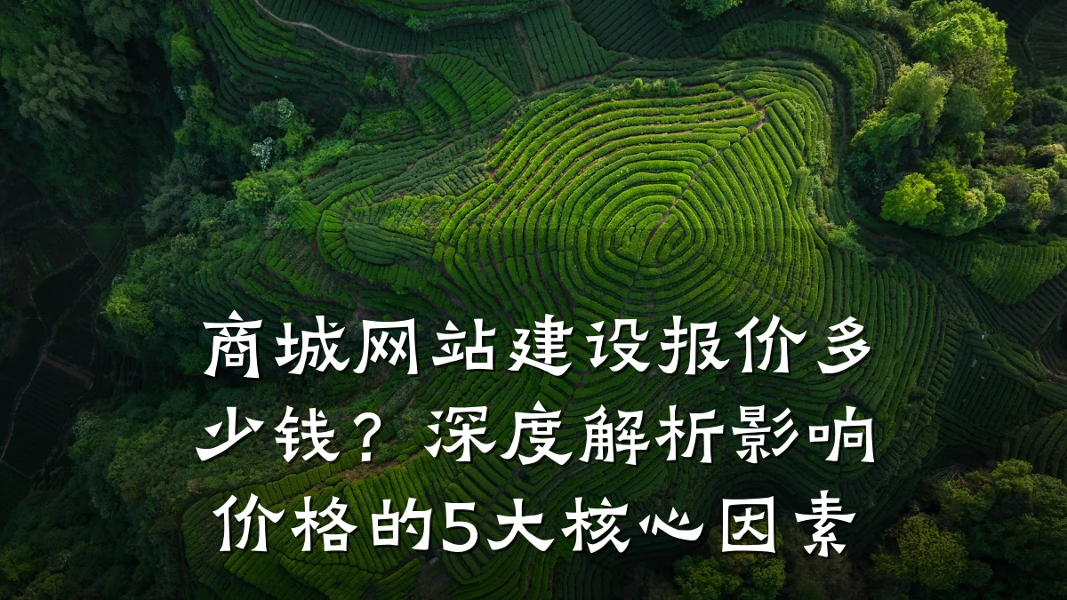 商城网站建设报价多少钱?深度解析影响价格的5大核心因素