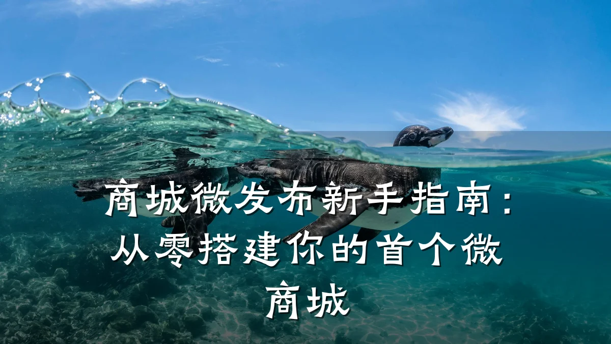 商城微发布新手指南:从零搭建你的首个微商城