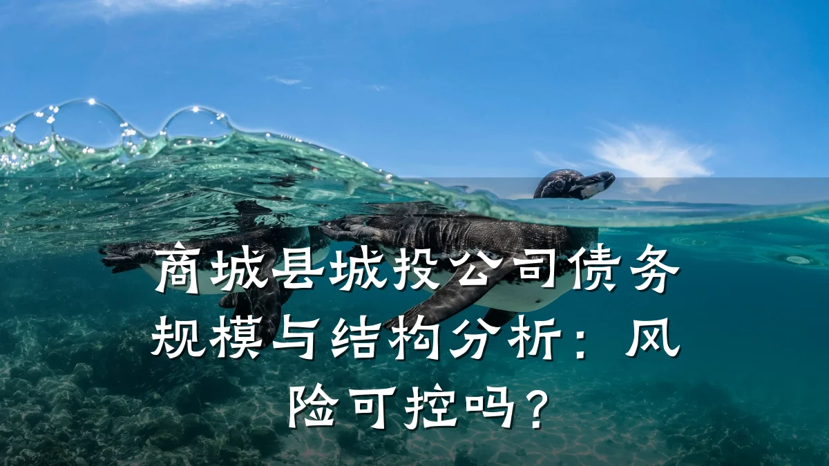 商城县城投公司债务规模与结构分析:风险可控吗?