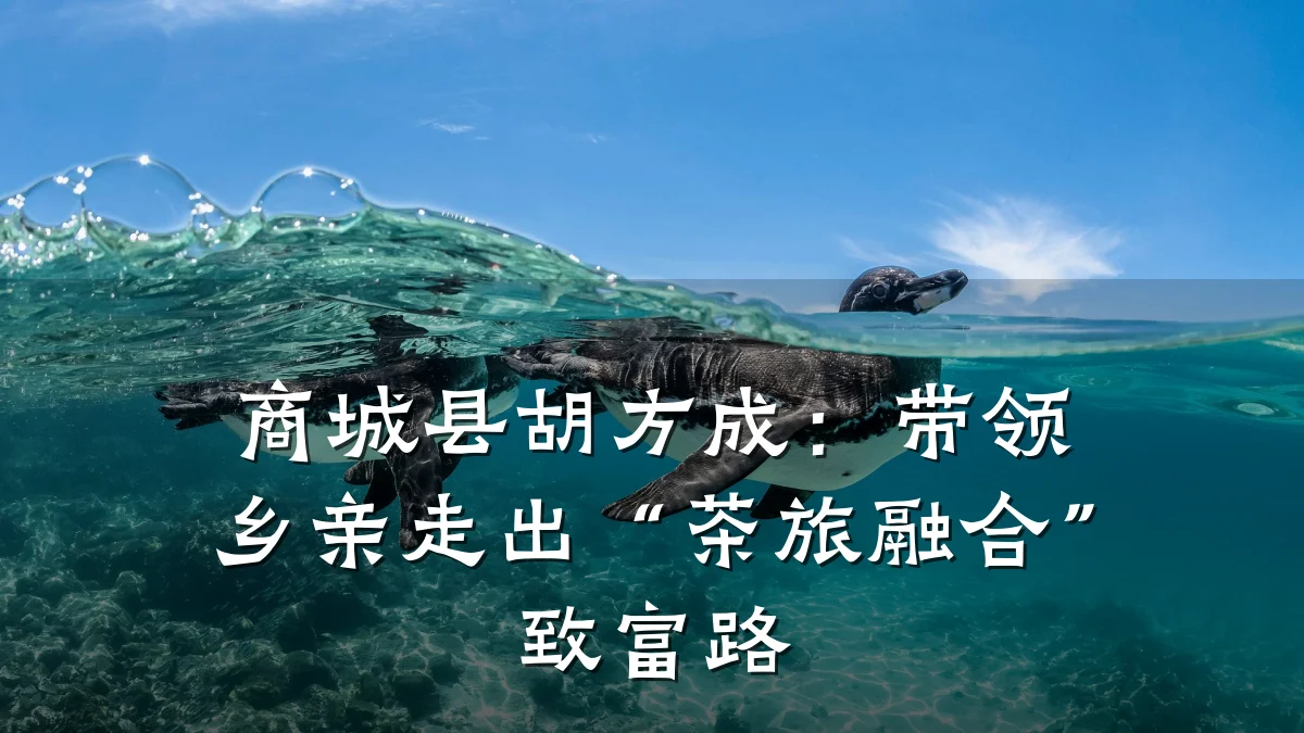 商城县胡方成:带领乡亲走出“茶旅融合”致富路