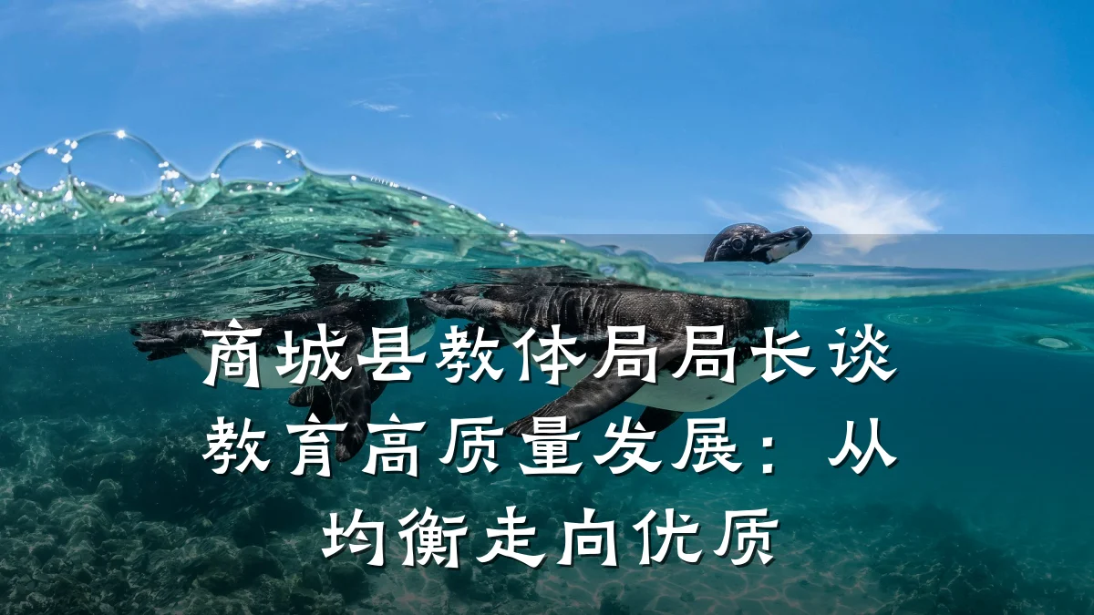 商城县教体局局长谈教育高质量发展:从均衡走向优质