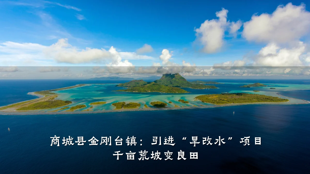 商城县金刚台镇:引进“旱改水”项目 千亩荒坡变良田