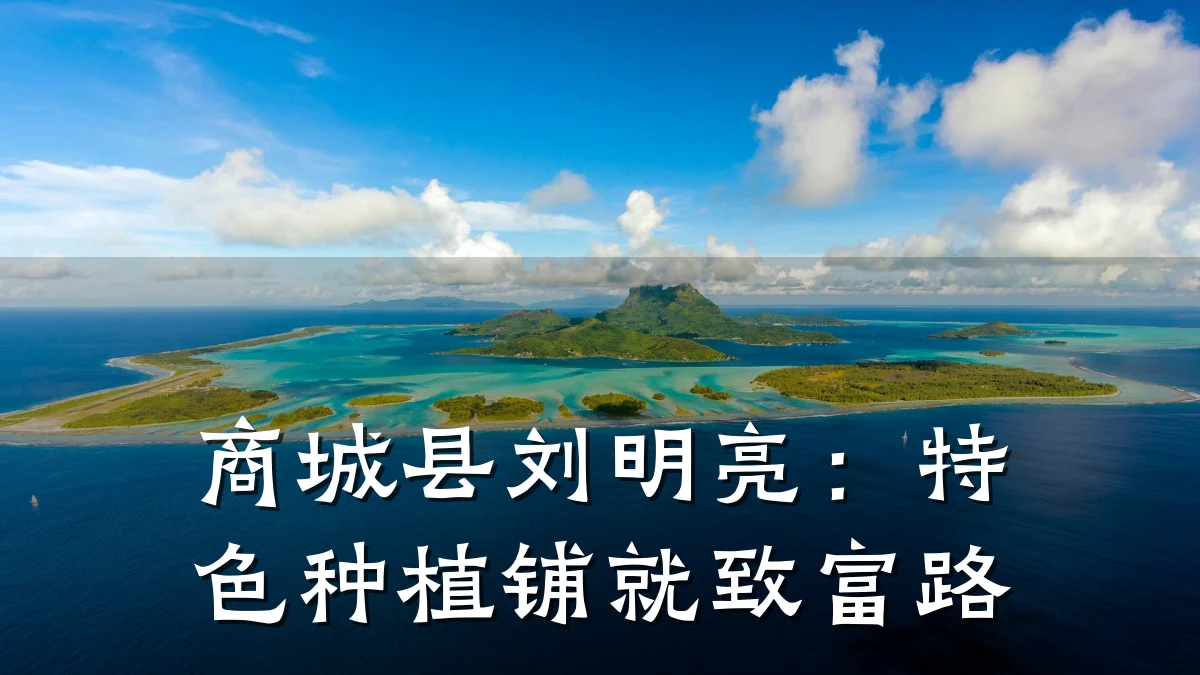 商城县刘明亮:特色种植铺就致富路