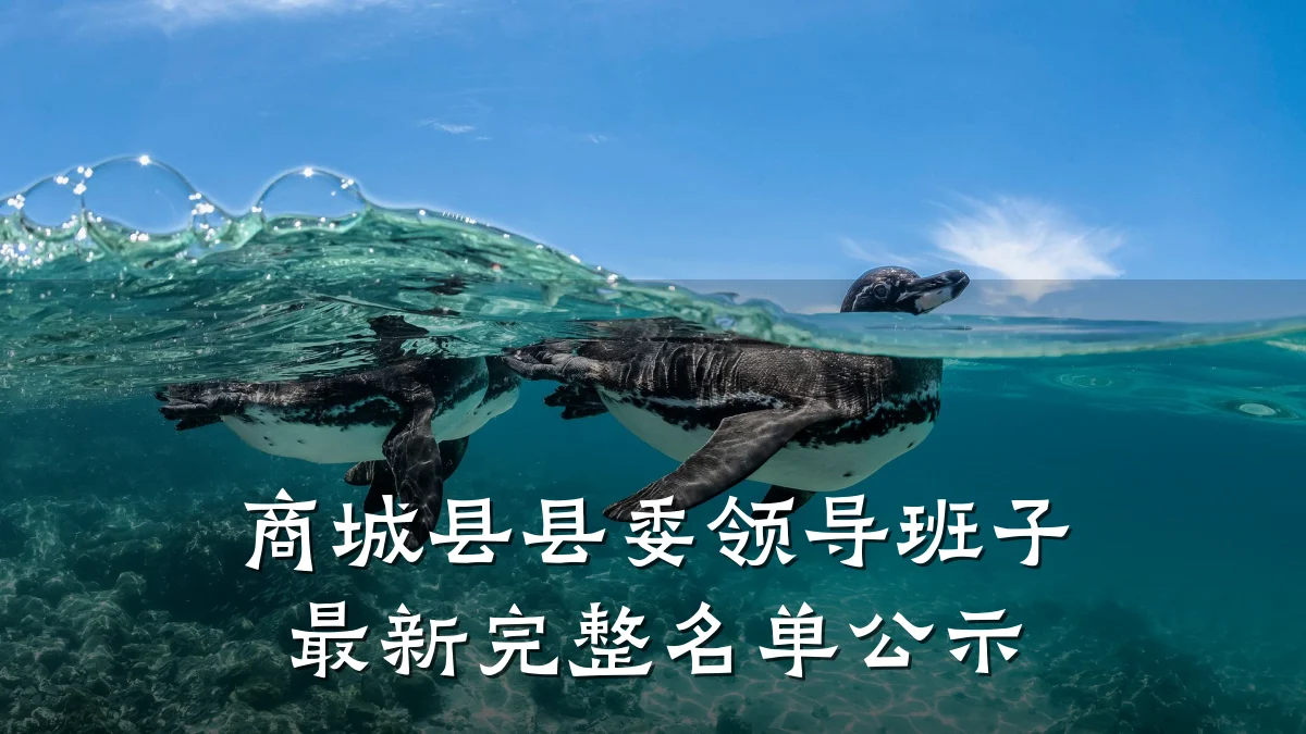 商城县县委领导班子最新完整名单公示