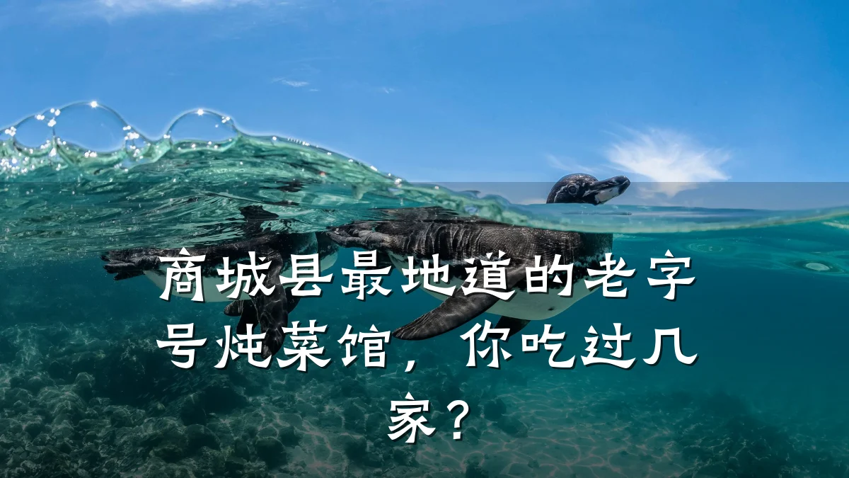 商城县最地道的老字号炖菜馆，你吃过几家？