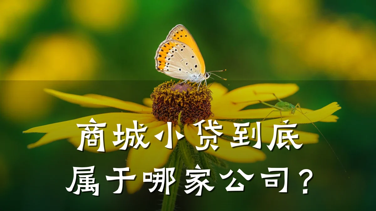 商城小贷到底属于哪家公司?