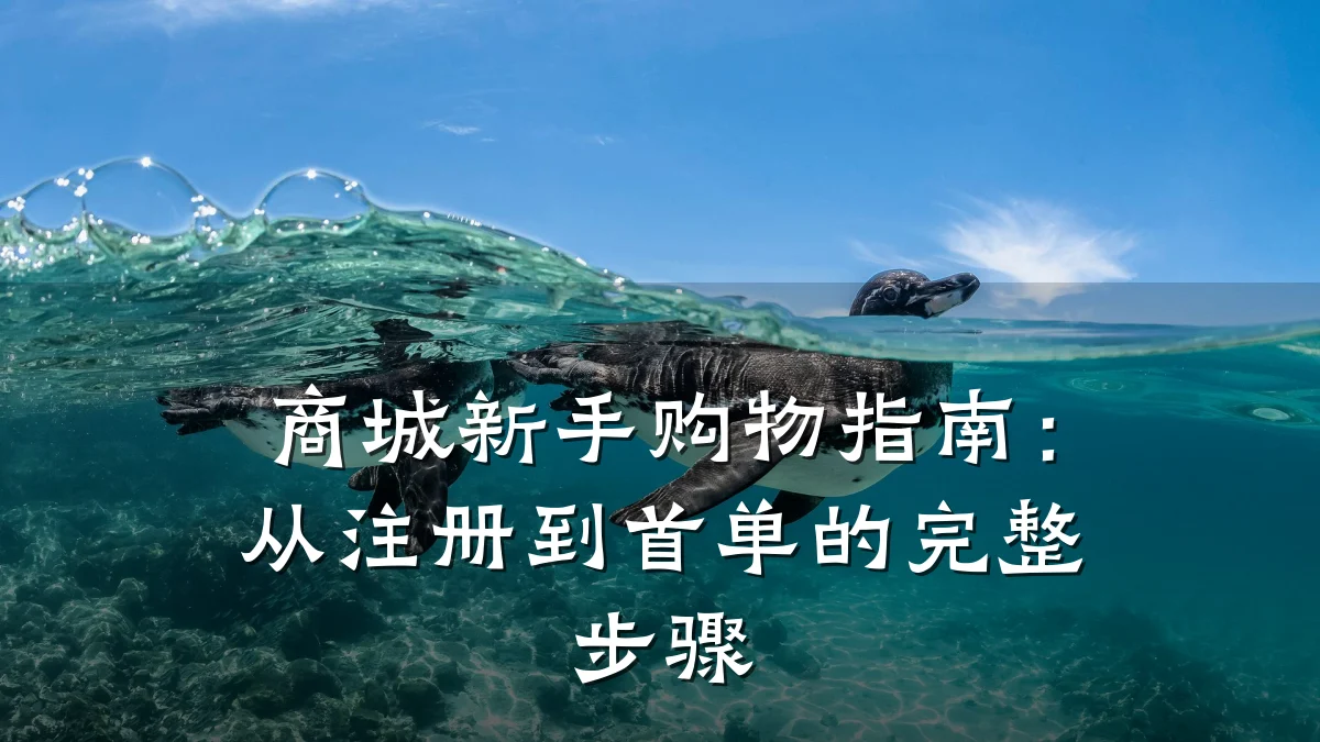 商城新手购物指南:从注册到首单的完整步骤