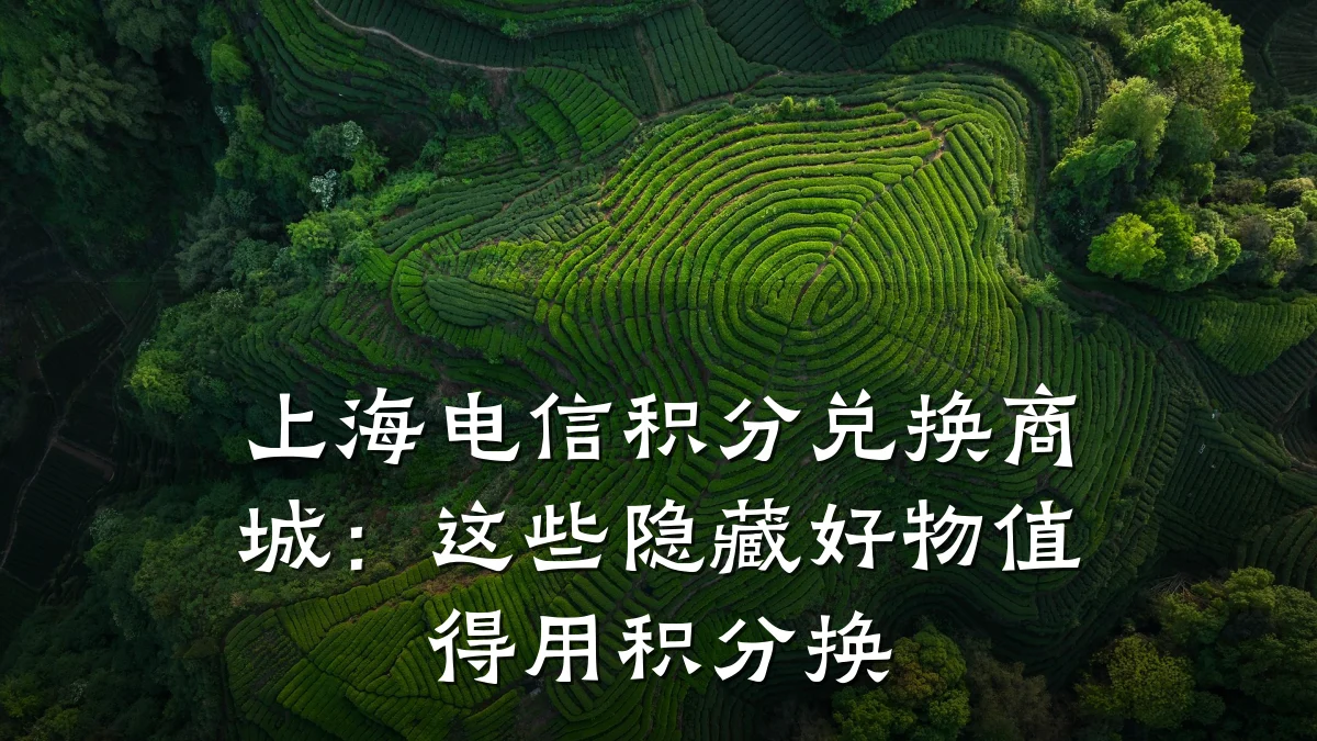 上海电信积分兑换商城:这些隐藏好物值得用积分换