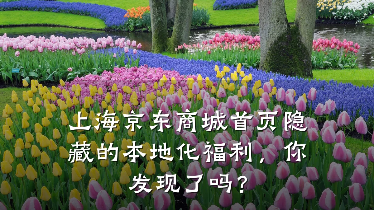 上海京东商城首页隐藏的本地化福利,你发现了吗?