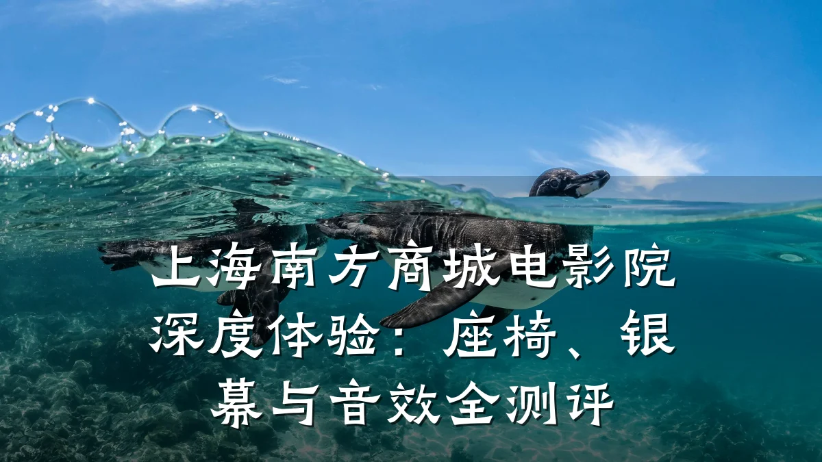上海南方商城电影院深度体验：座椅、银幕与音效全测评
