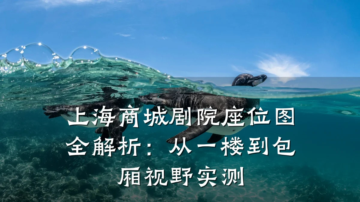 上海商城剧院座位图全解析:从一楼到包厢视野实测