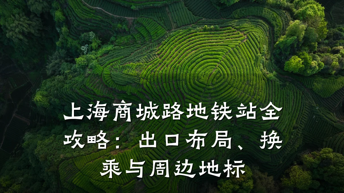 上海商城路地铁站全攻略:出口布局、换乘与周边地标