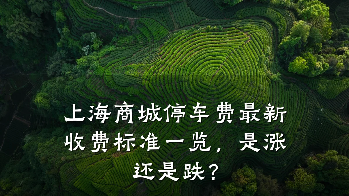 上海商城停车费最新收费标准一览,是涨还是跌?
