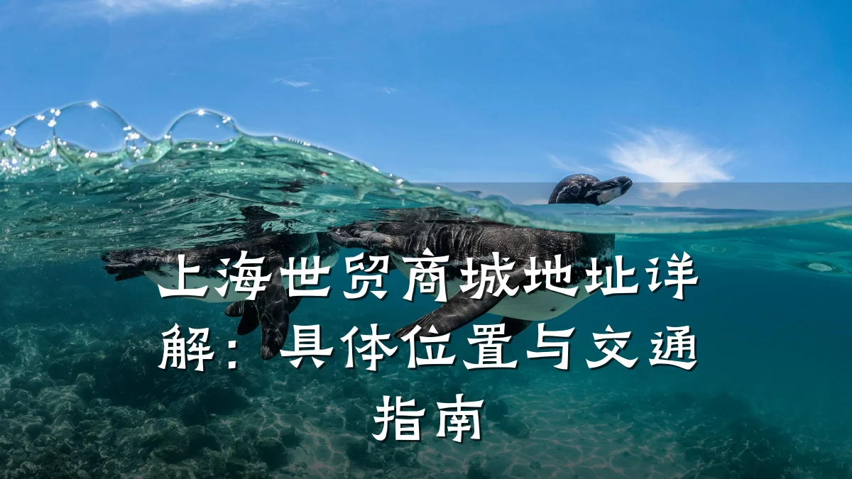 上海世贸商城地址详解:具体位置与交通指南