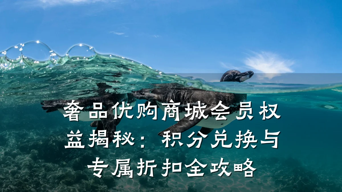 奢品优购商城会员权益揭秘:积分兑换与专属折扣全攻略