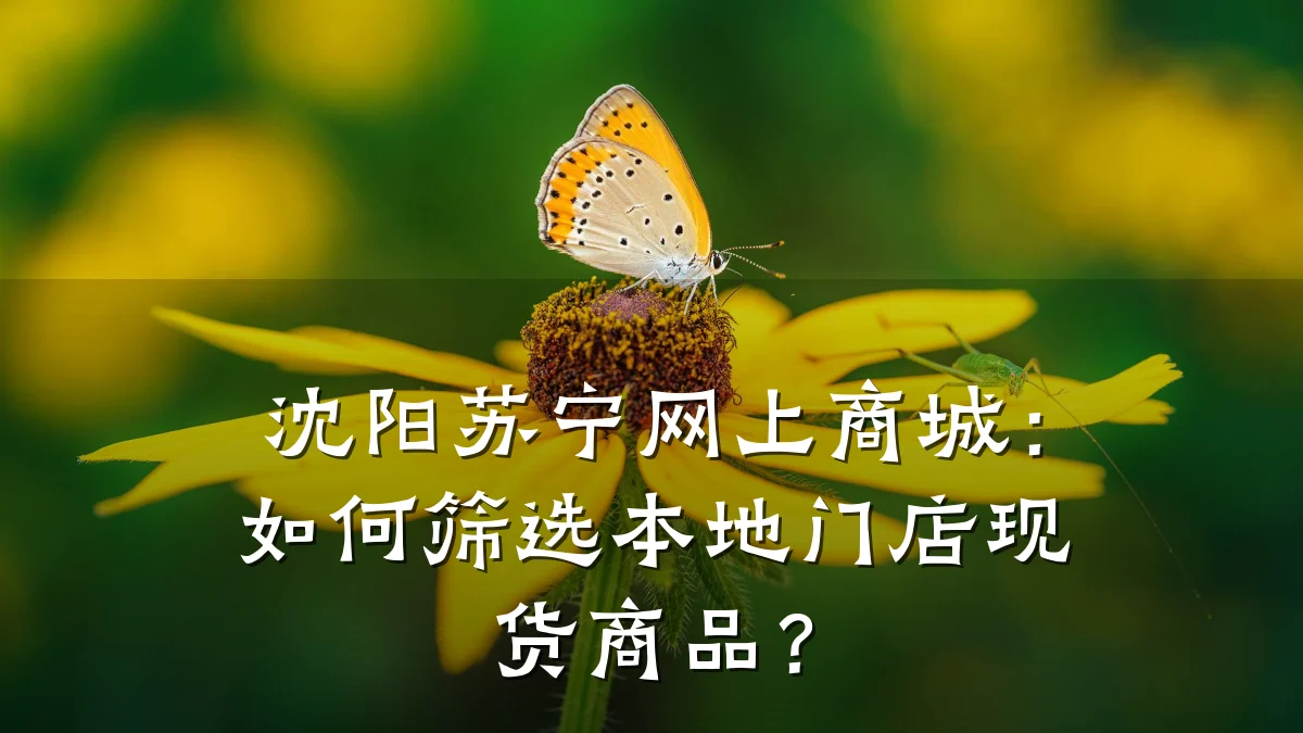 沈阳苏宁网上商城:如何筛选本地门店现货商品?