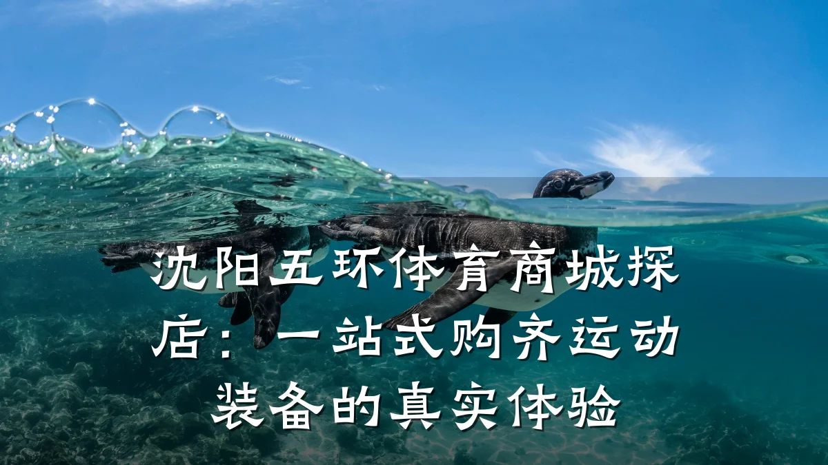沈阳五环体育商城探店：一站式购齐运动装备的真实体验