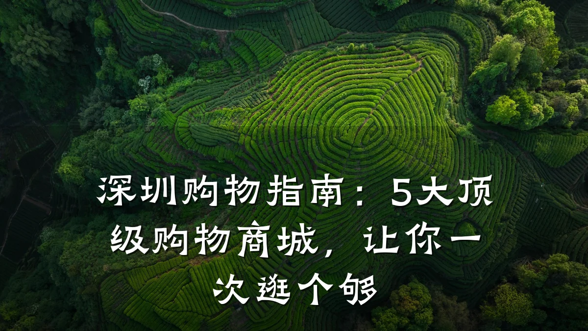 深圳购物指南:5大顶级购物商城,让你一次逛个够