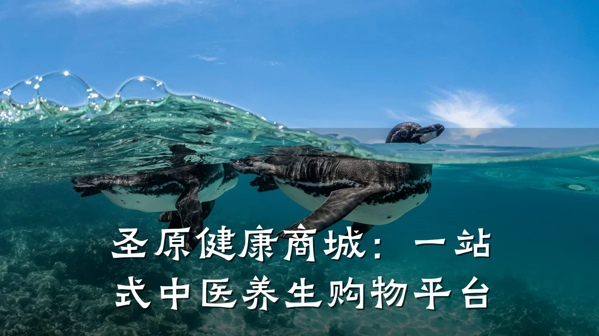 圣原健康商城:一站式中医养生购物平台