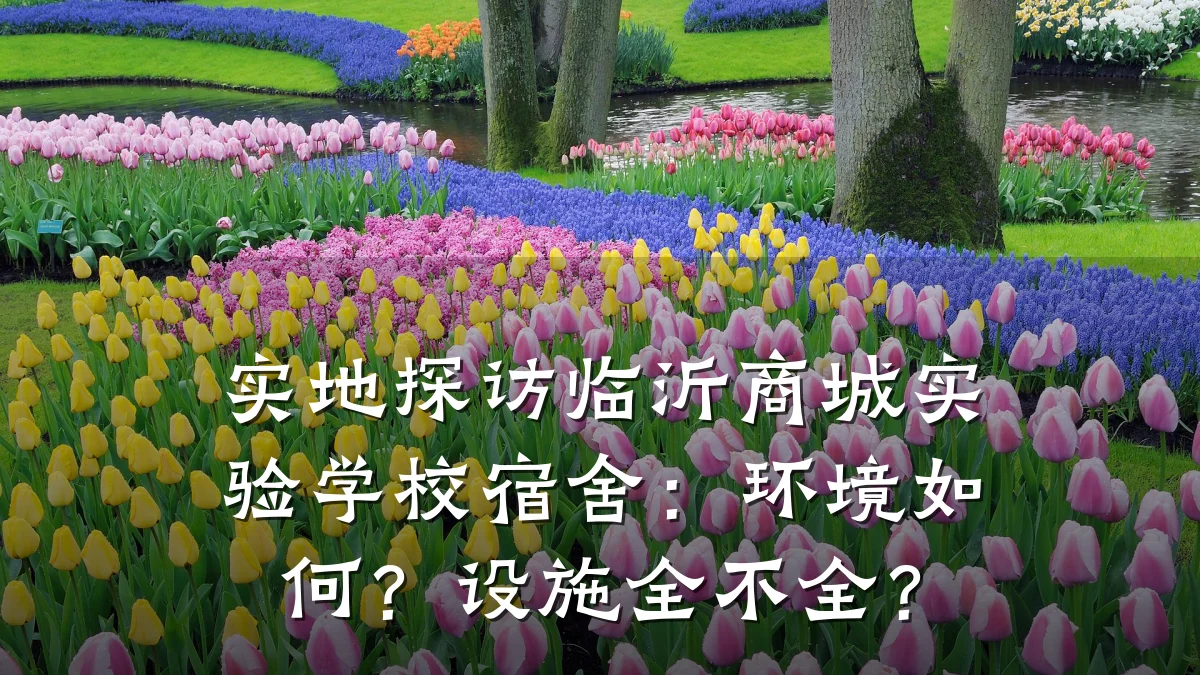 实地探访临沂商城实验学校宿舍:环境如何?设施全不全?