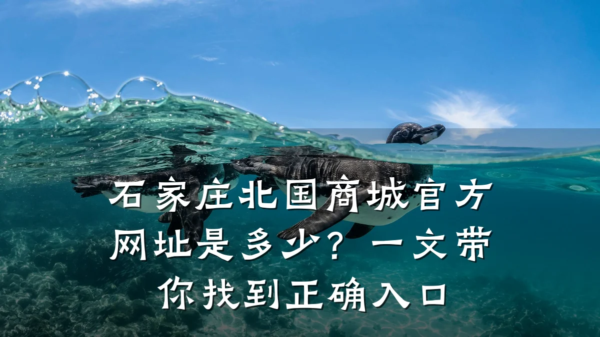 石家庄北国商城官方网址是多少？一文带你找到正确入口