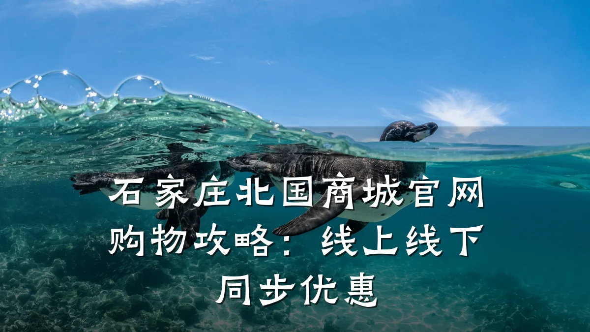 石家庄北国商城官网购物攻略:线上线下同步优惠