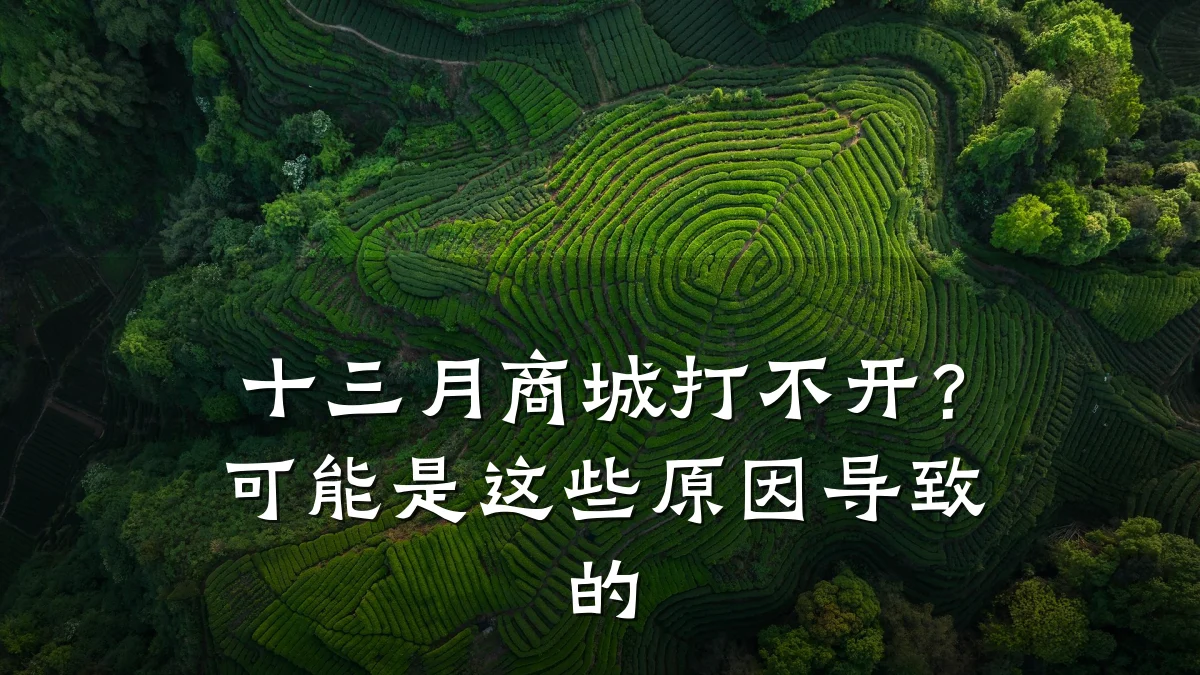 十三月商城打不开？可能是这些原因导致的