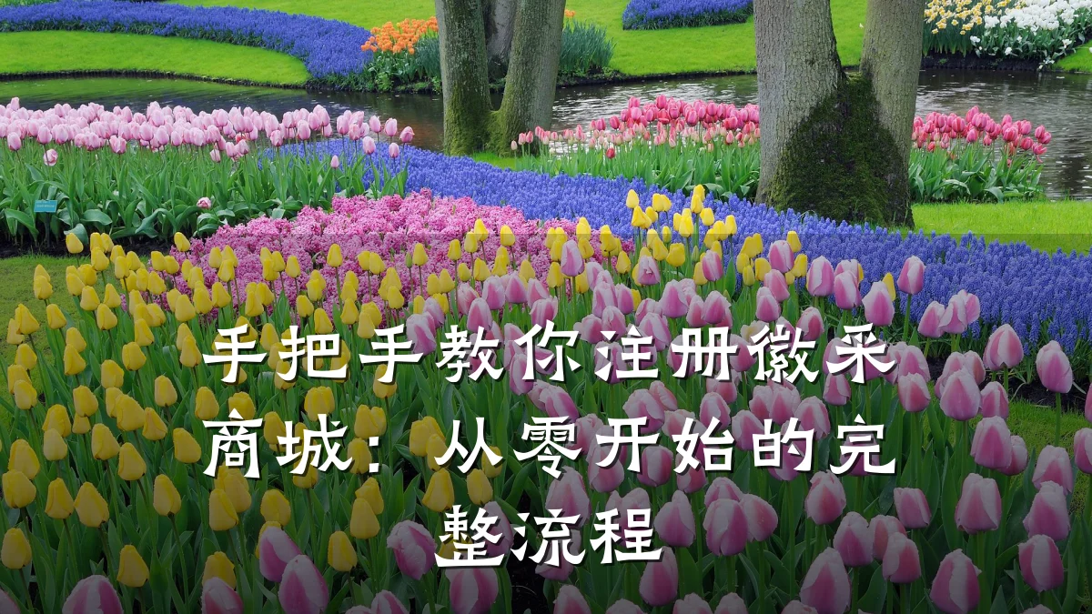 手把手教你注册徽采商城:从零开始的完整流程