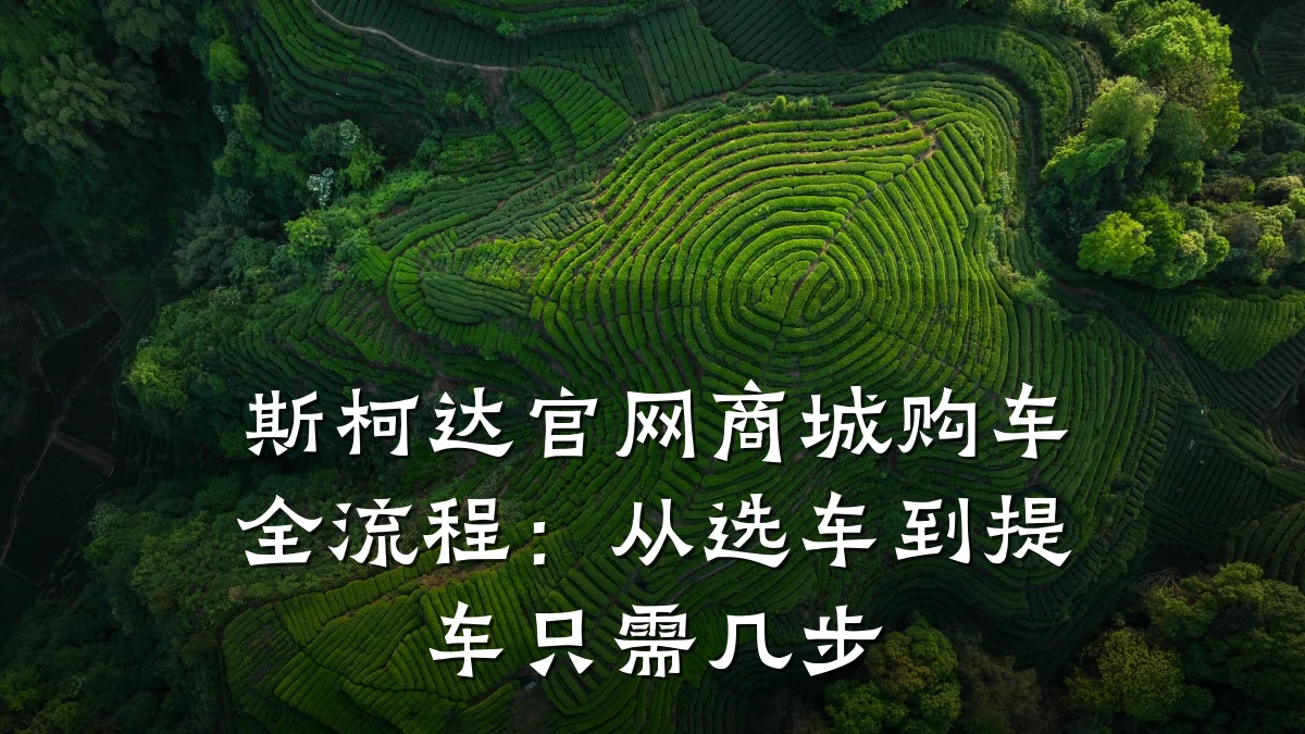 斯柯达官网商城购车全流程：从选车到提车只需几步