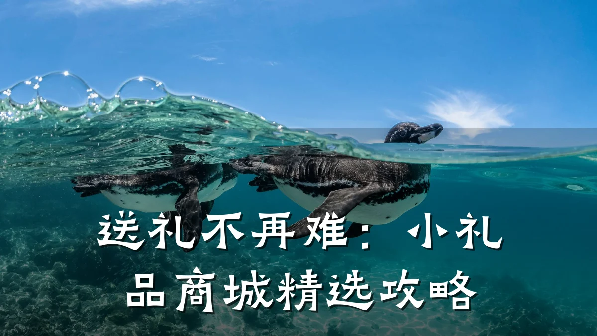 送礼不再难:小礼品商城精选攻略