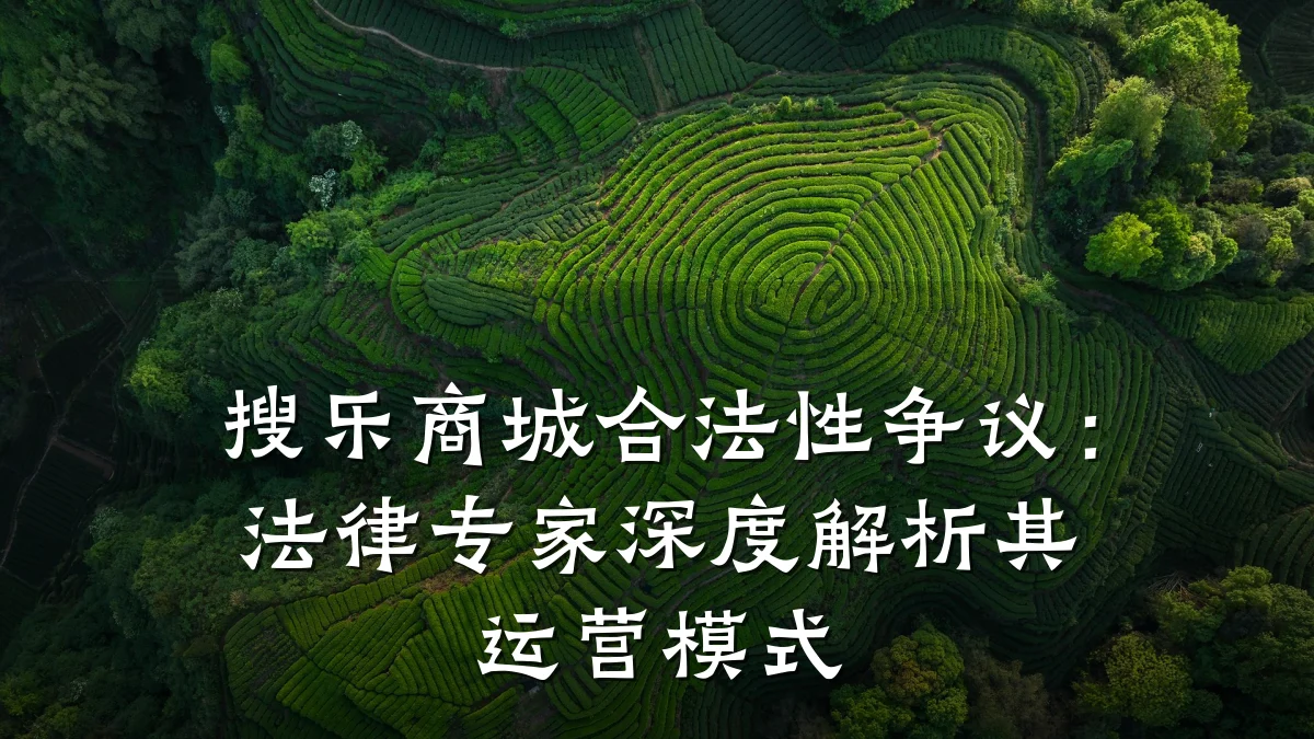 搜乐商城合法性争议:法律专家深度解析其运营模式