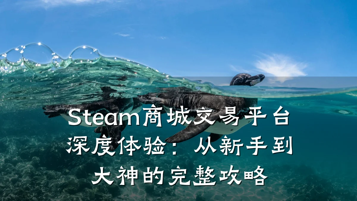 Steam商城交易平台深度体验:从新手到大神的完整攻略