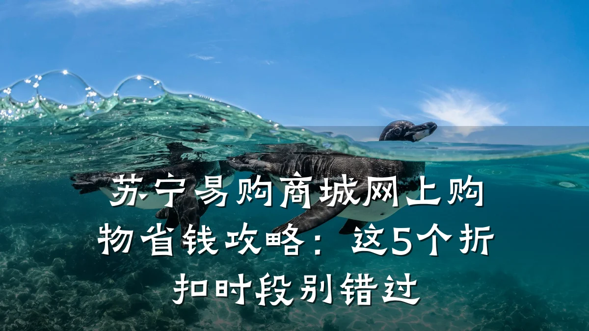 苏宁易购商城网上购物省钱攻略:这5个折扣时段别错过