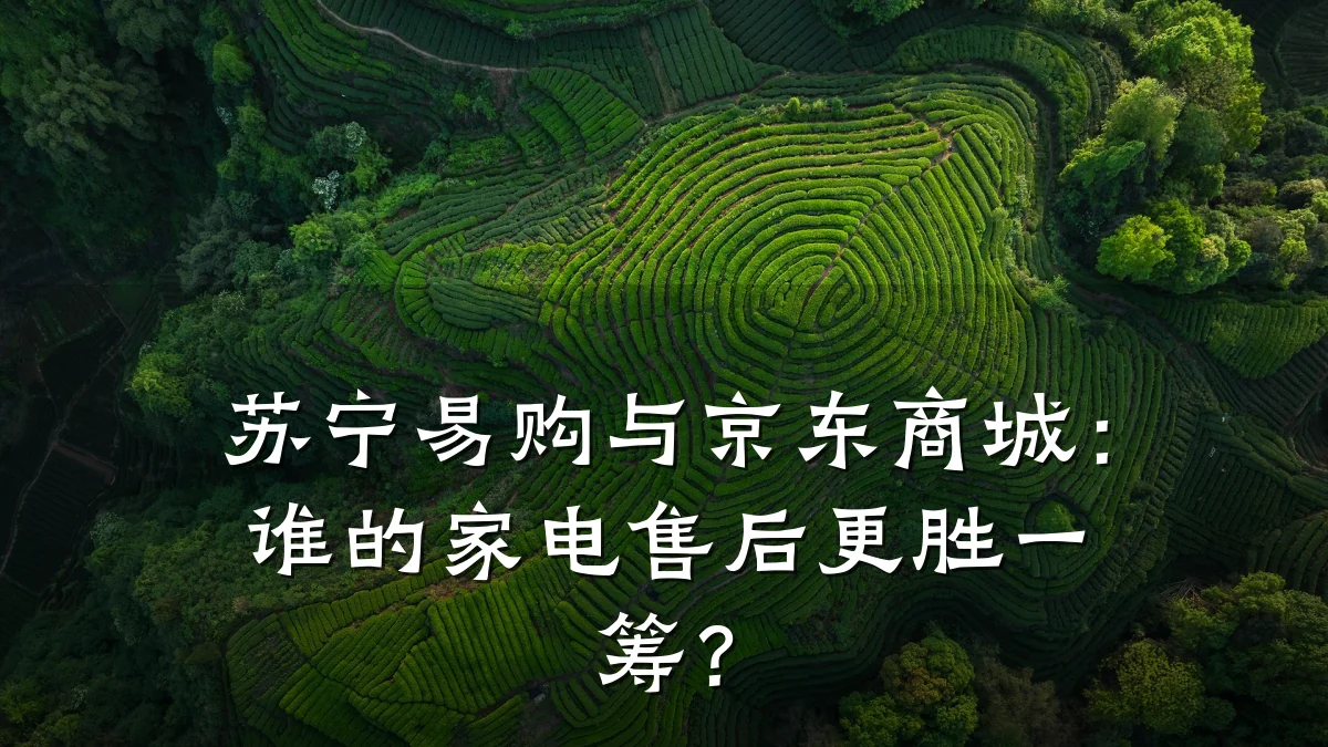 苏宁易购与京东商城:谁的家电售后更胜一筹?