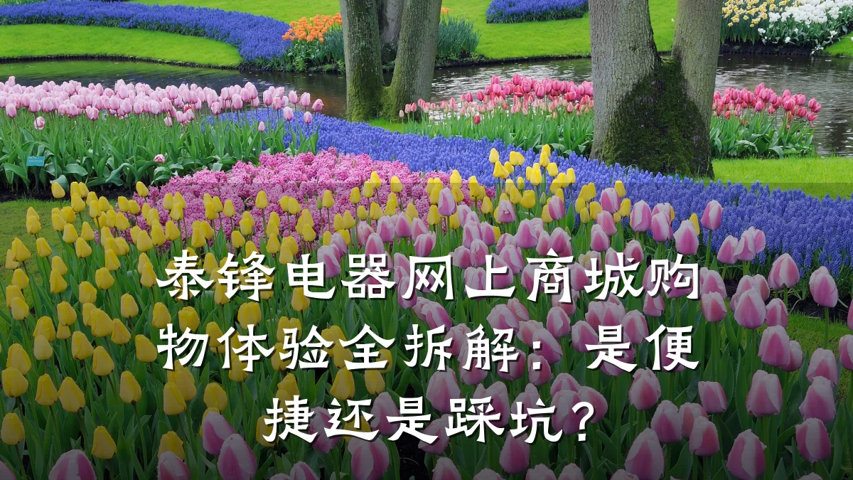 泰锋电器网上商城购物体验全拆解:是便捷还是踩坑?