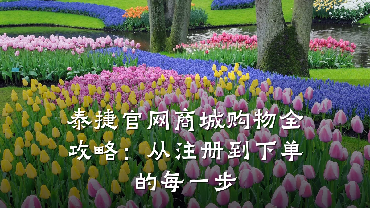 泰捷官网商城购物全攻略:从注册到下单的每一步