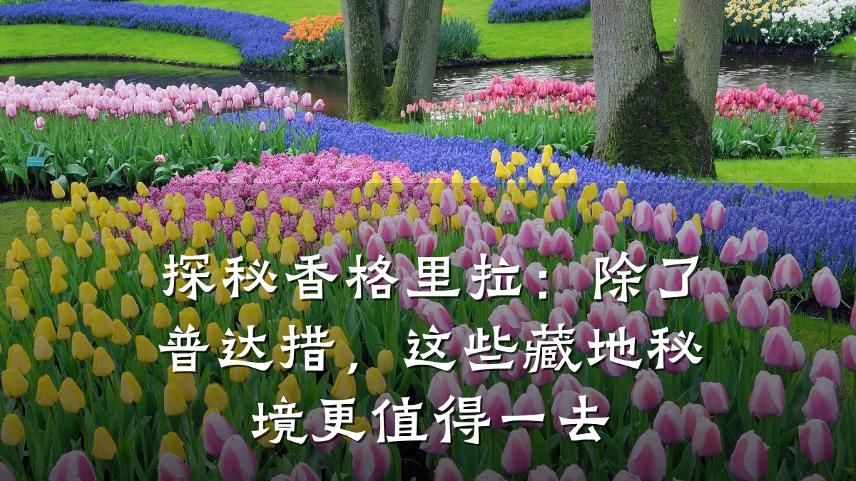 探秘香格里拉:除了普达措,这些藏地秘境更值得一去