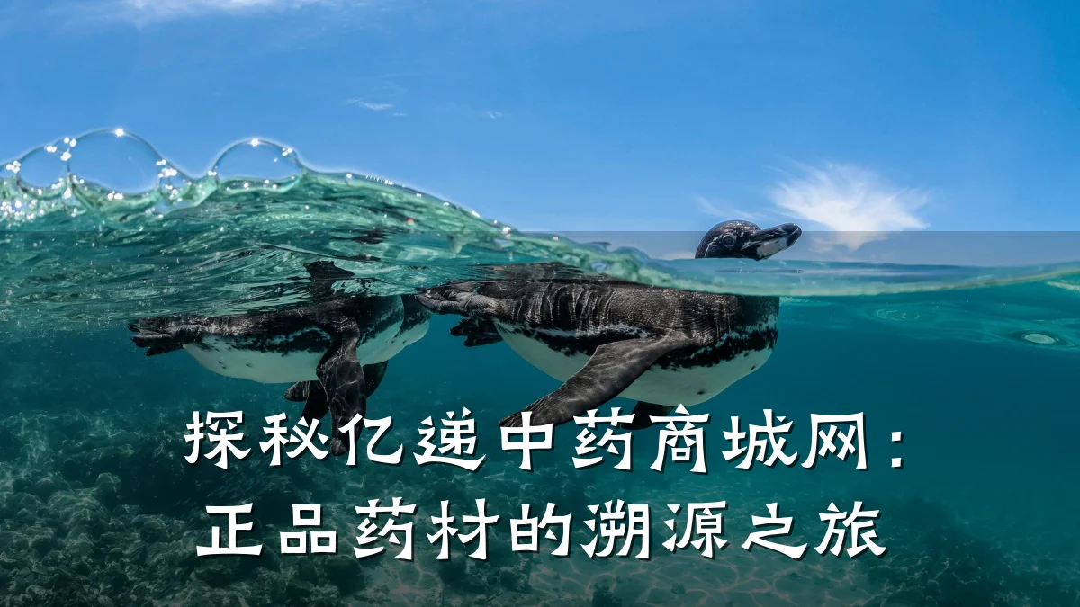 探秘亿递中药商城网:正品药材的溯源之旅