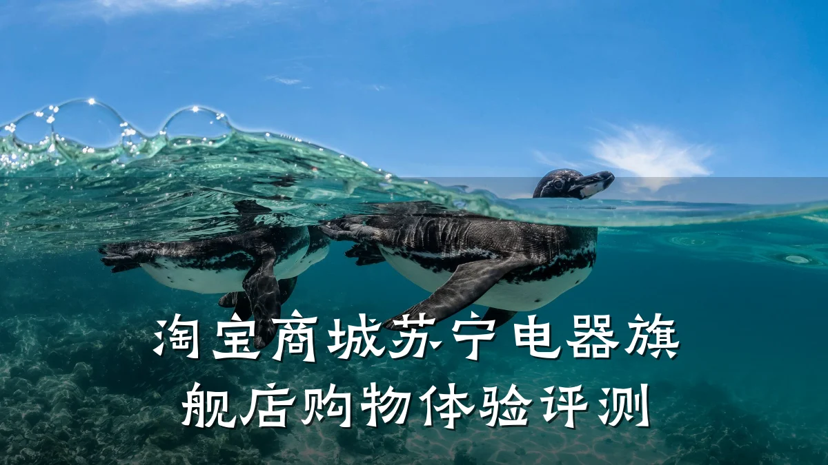 淘宝商城苏宁电器旗舰店购物体验评测