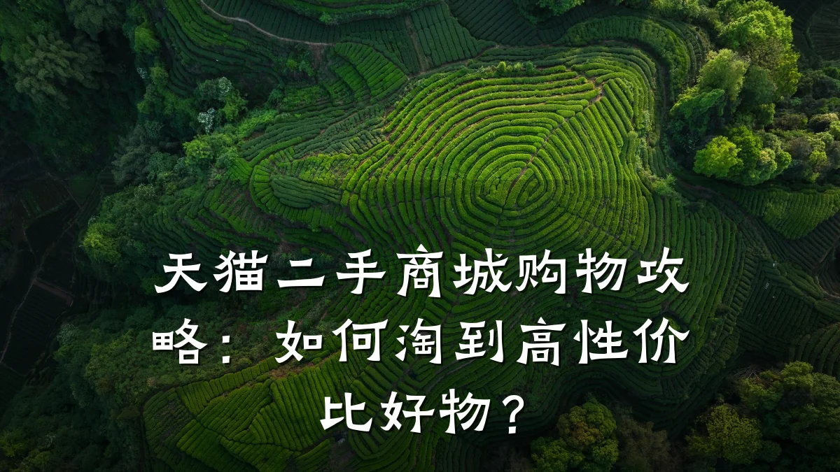 天猫二手商城购物攻略:如何淘到高性价比好物?