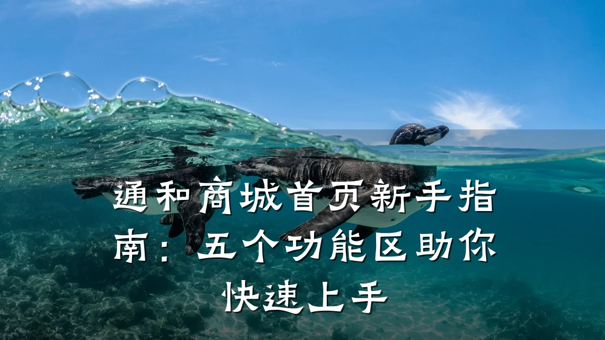 通和商城首页新手指南:五个功能区助你快速上手