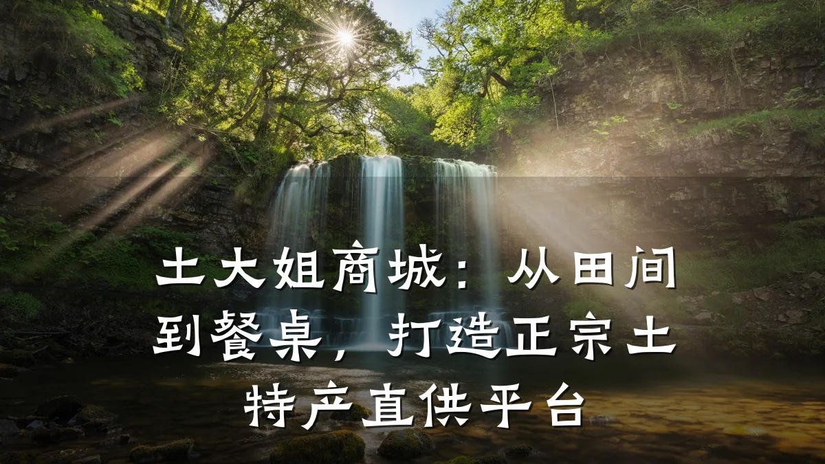 土大姐商城:从田间到餐桌,打造正宗土特产直供平台